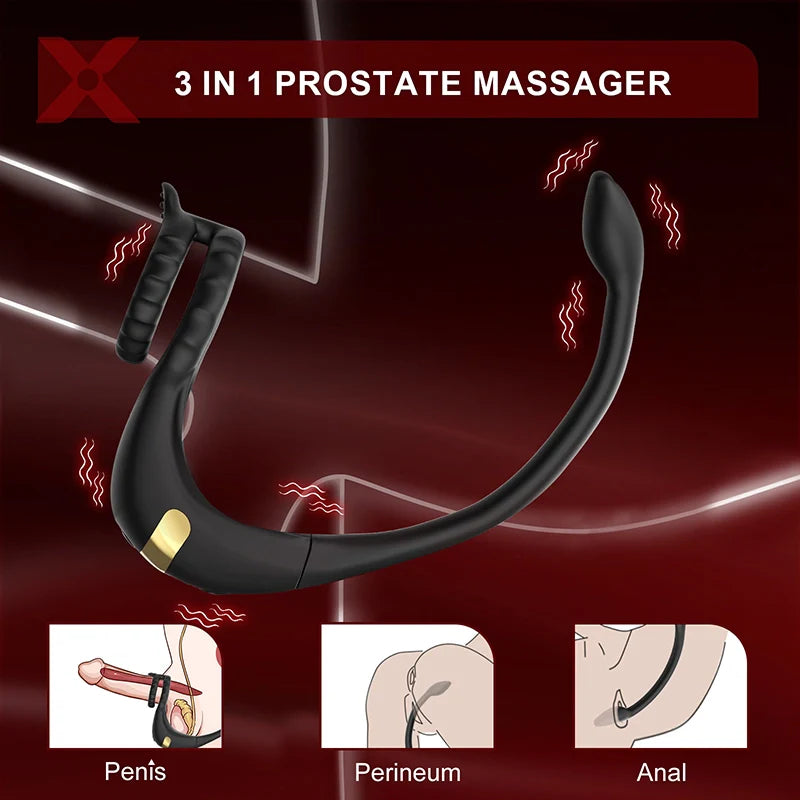 PM2: Stimulateur Prostatique 3-en-1 Double Moteur avec App ou Télécommande